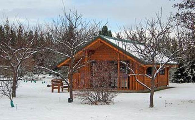 Central Chalets Ltd อเล็กซานดรา ภายนอก รูปภาพ